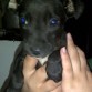 ciro con 1 mes y medio cuando lo encontraron abandonado en la calle